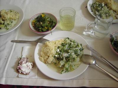 Resize of PICT6363.JPG